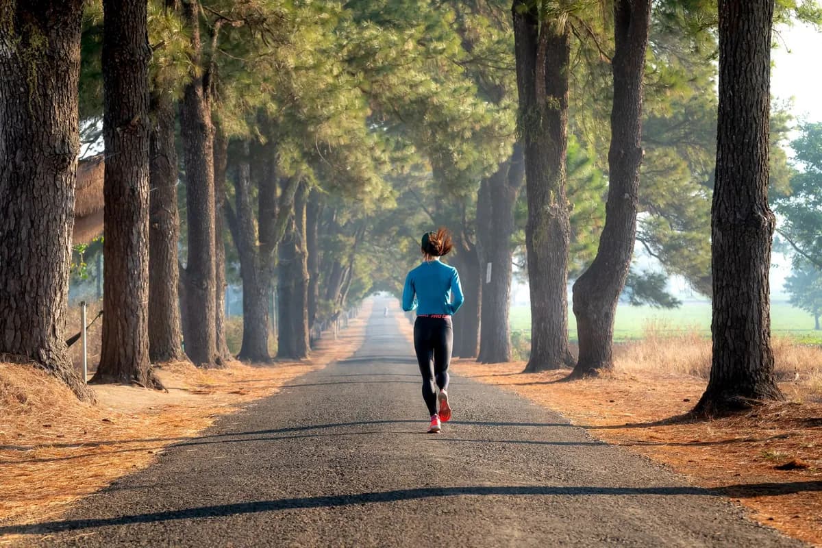 A person on a peaceful forest path surrounded by greenery